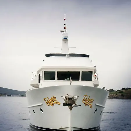 Dalgaci Boat İzmir